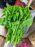 SAWI (RAJA)