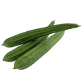 Petola
