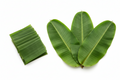 BANANA LEAVES