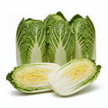 Beiging cabbage