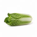 CHINESE CABBAGE LONG