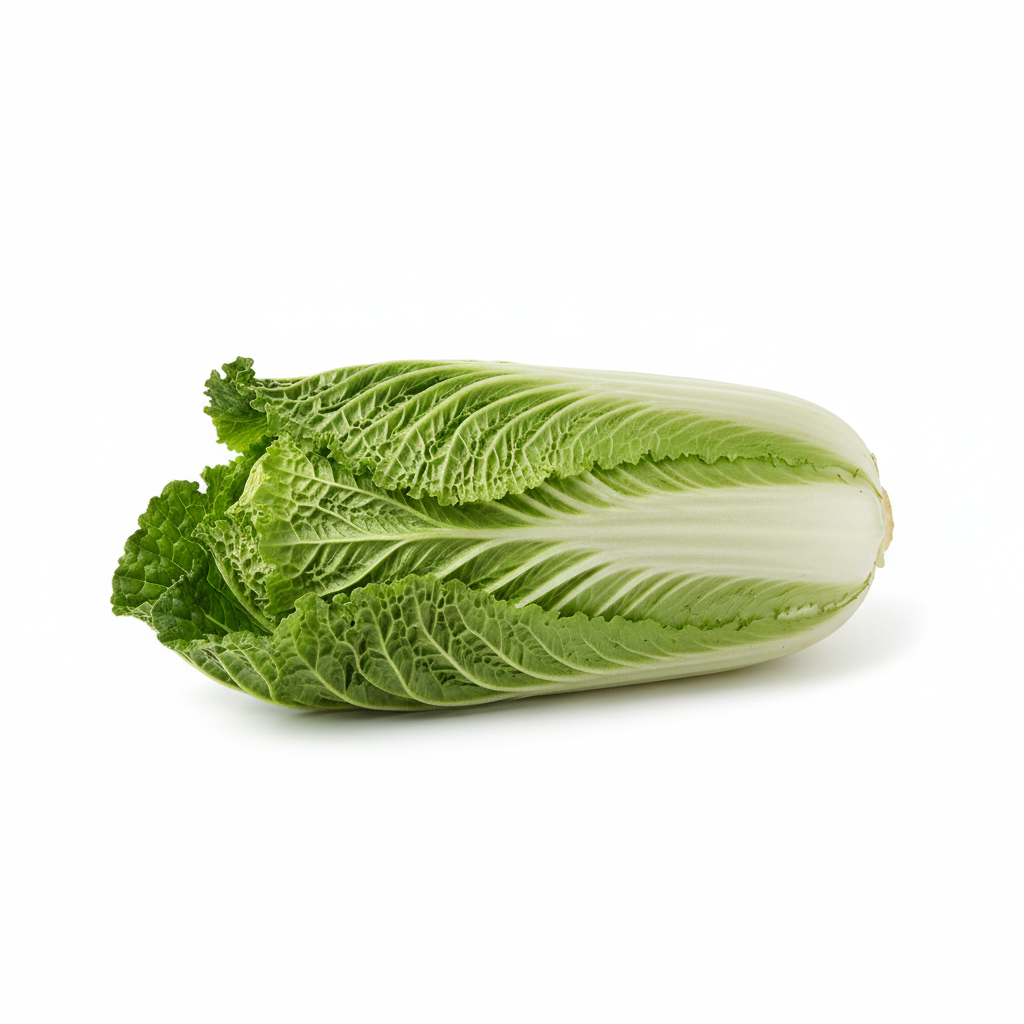 CHINESE CABBAGE LONG
