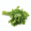 Daun Sup