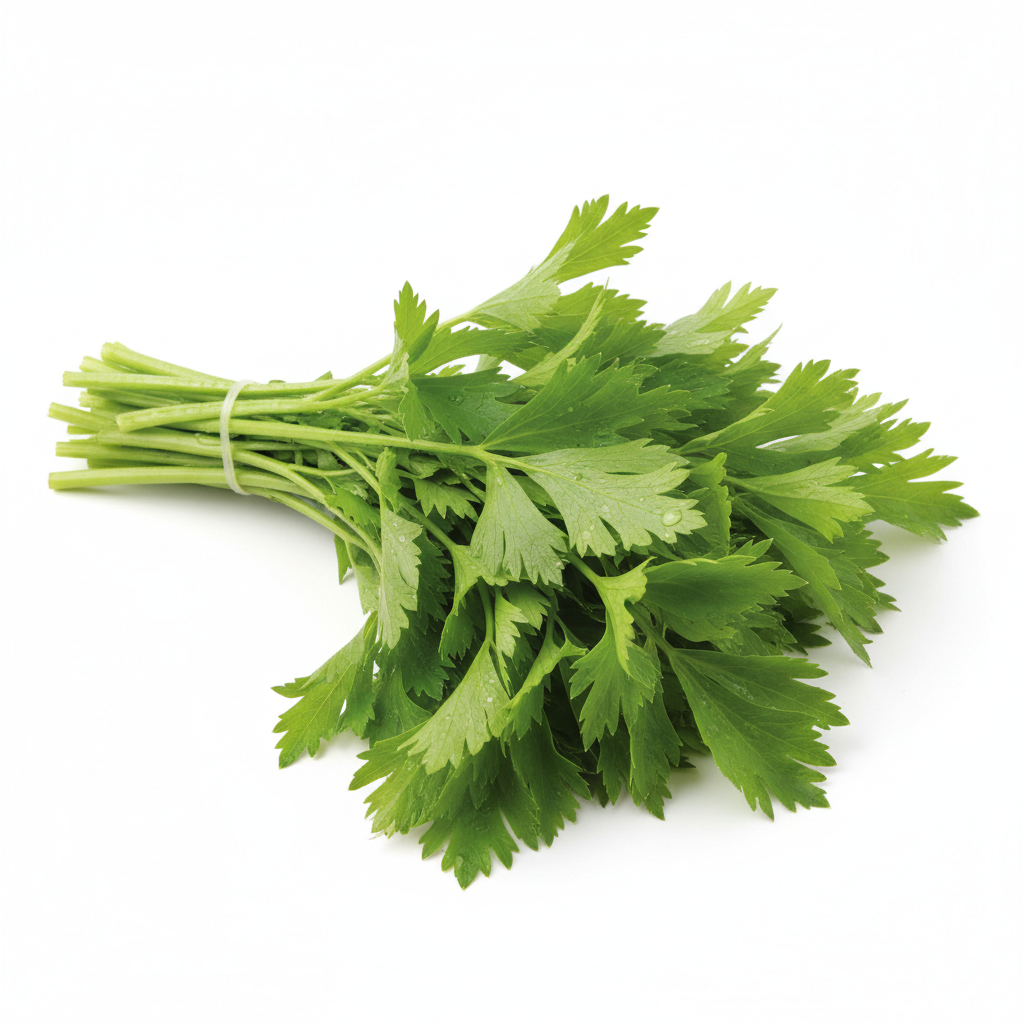 Daun Sup