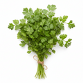 Fresh Coriander