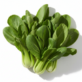 Pak Choy Small