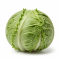 Salad Bulat