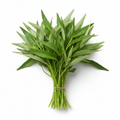 Kangkung