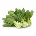Poh Choy