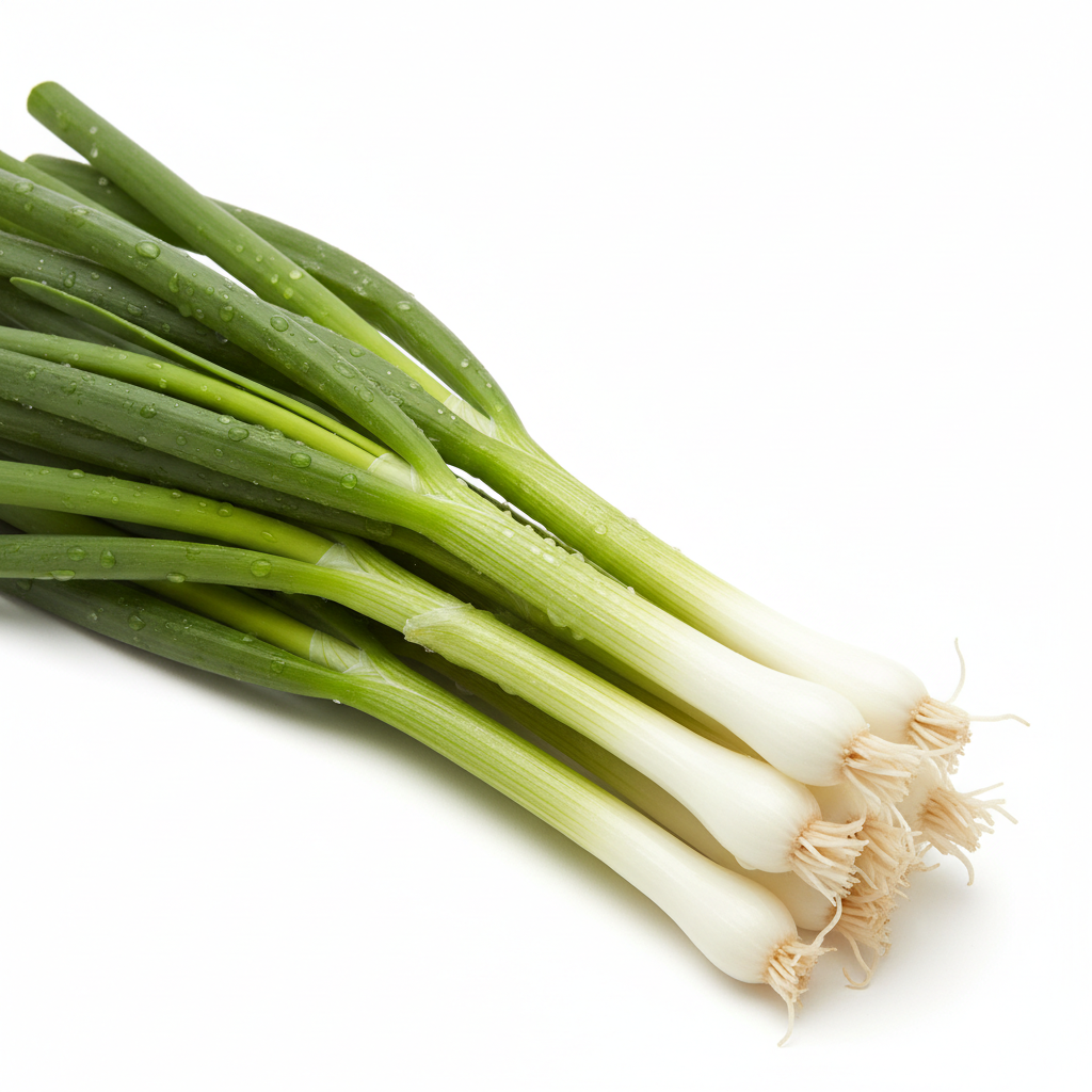 SPRING ONION