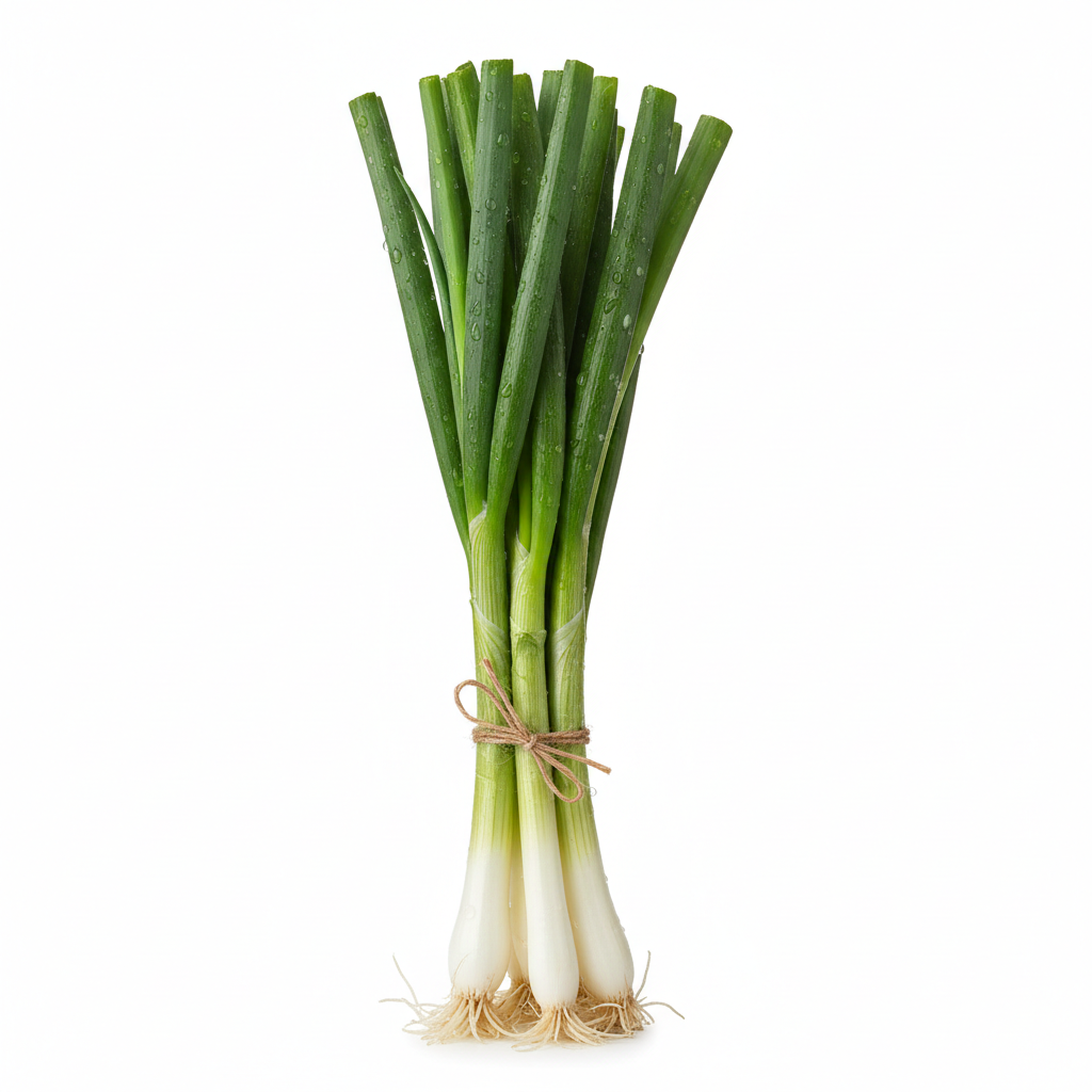SPRING ONION